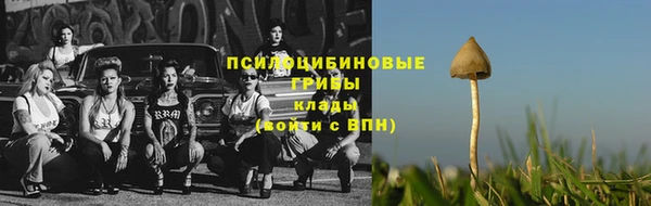 СК Горнозаводск