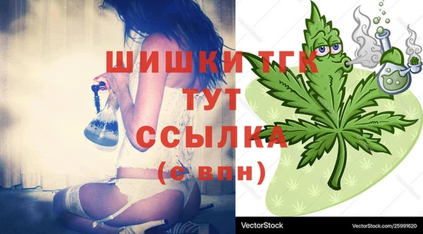 соль ск Горняк