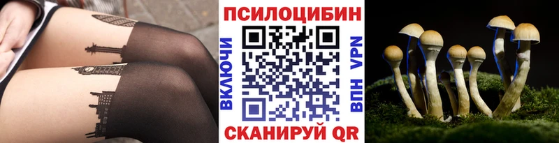даркнет сайт  Южно-Сухокумск  Псилоцибиновые грибы Cubensis 