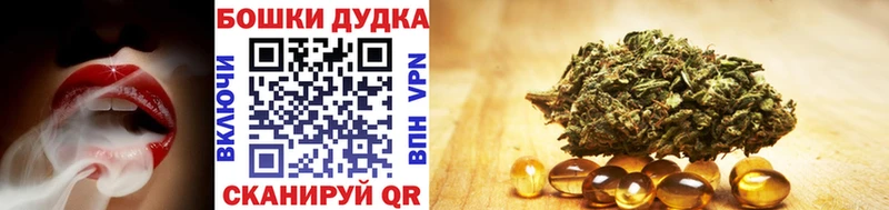 Бошки Шишки планчик  Южно-Сухокумск 
